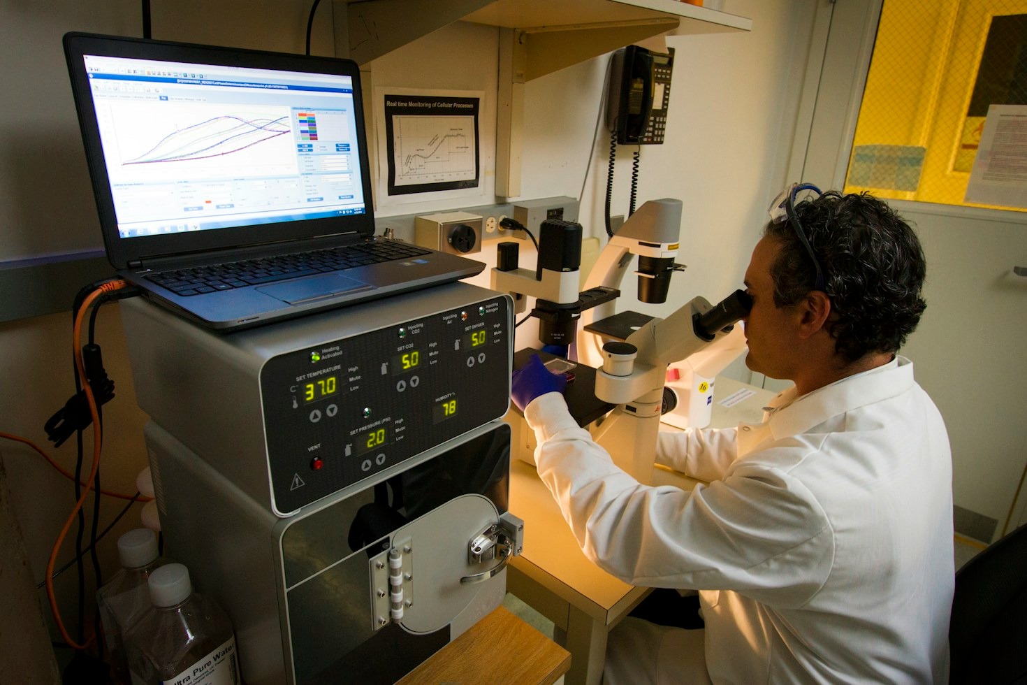 How to Read Third-Party Laboratory Test Results Accurately